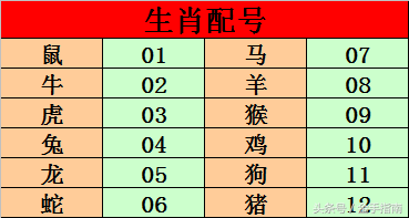 三二灵码四配七指什么生肖 12个灵码分别是什么是什么意思？