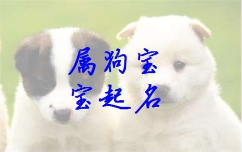 4月出生狗宝宝取什么名字 4月狗宝起名