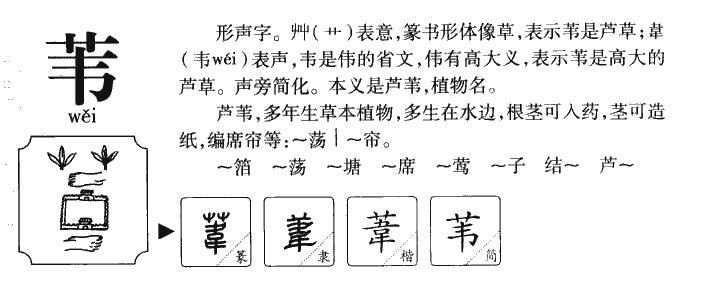 苇是什么意思取名 苇字取名禁忌