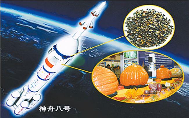 神七什么生肖 龙一生克星是谁是什么意思？