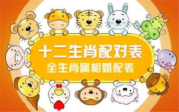 猪跟什么属相6合 猪跟猪的属相合不合财是什么意思？