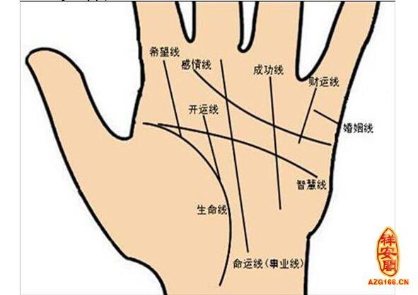 男人手相算命图解 男人左手图解