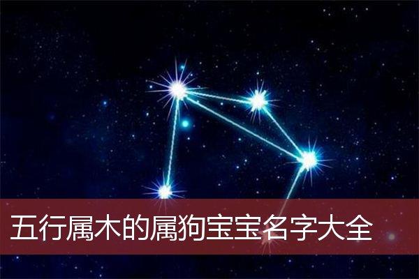 狗宝宝命中缺木缺火的名字大全 缺木缺火最简单的名字