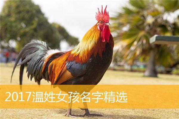鸡女孩名字寓意姓袁 女孩属鸡取名带含义