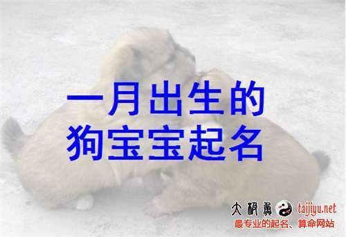 狗年女宝宝适合用希字取名吗 狗年正月女宝宝起名字