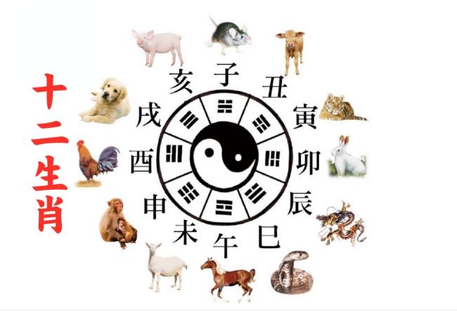 黑头黑脚的生肖是什么 黑头白身黑脚是什么猫是什么意思？