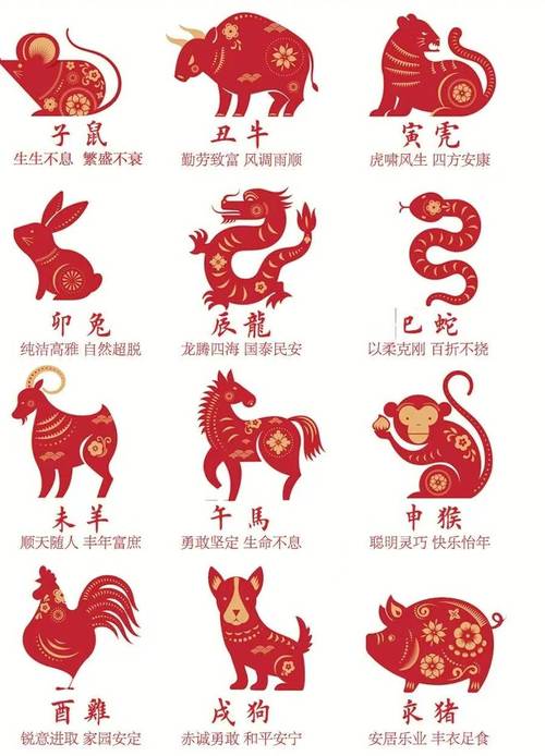香港2024年生肖运程 香港十二生肖流年运程是什么意思？