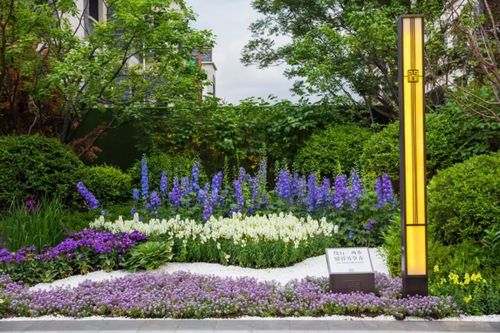 花镜设计取名寓意 花境设计
