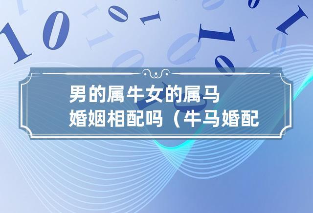 追是什么生肖配对情侣 男女配对的生肖是什么意思？