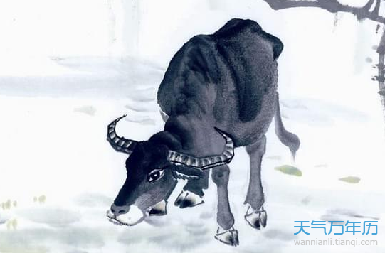 属牛二月出生命运如何 属牛农历二月出生运程是什么意思？