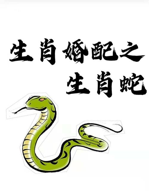蛇生肖配 男狗女蛇大7岁婚姻是否适合是什么意思？