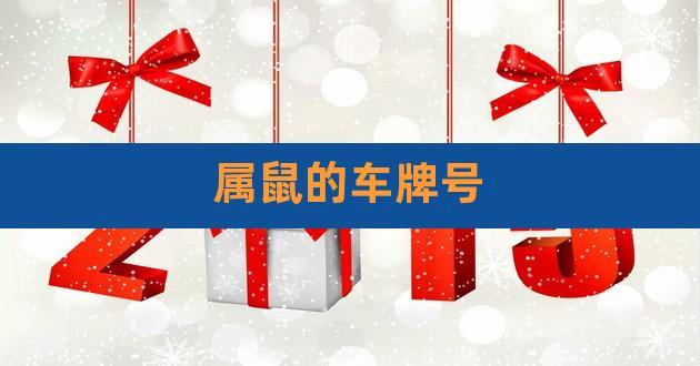 属鼠车牌号码吉祥数字 属鼠车牌号码吉数是什么意思？