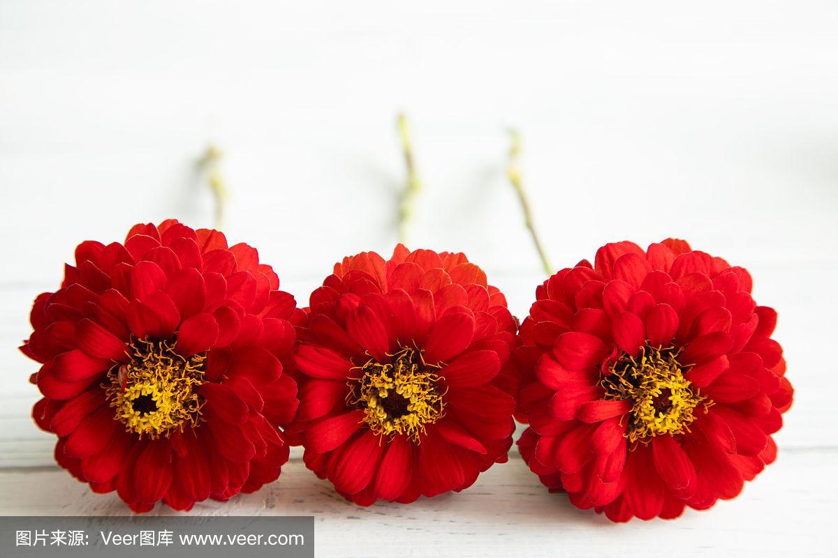 算命三朵红花什么意思 十二生肖哪朵花是红花