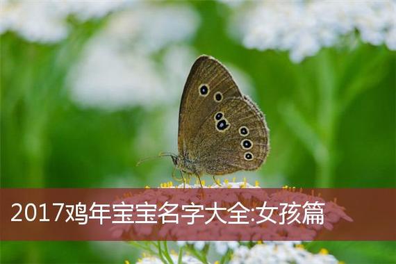 带山的女孩名字属鸡 带山字的名字洋气属鸡