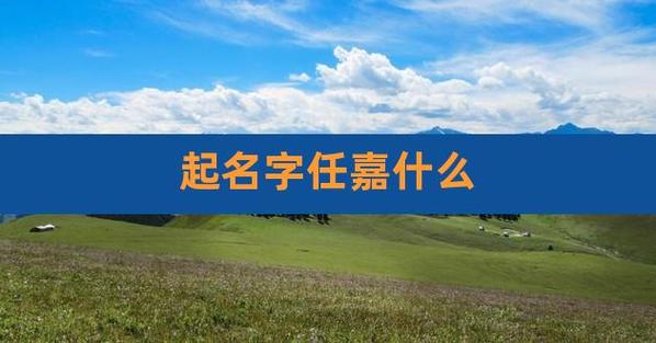 嘉后面男孩名字好听 带有嘉字的男孩名