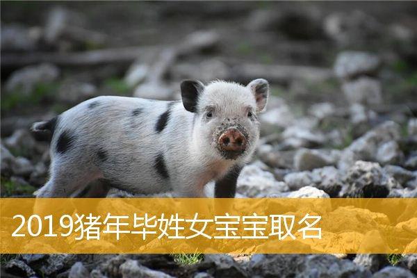 属猪宝宝起名带什么部首 属猪起名宜用字大全