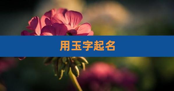 玉字开头的名字女孩名字 女孩带玉字旁好听的名字