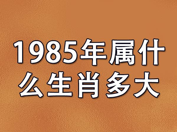 85年最配的生肖 1985年最配生肖是什么意思？