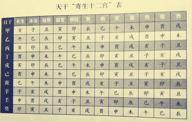 八字命宫为子宫 八字命宫为子宫代表什么