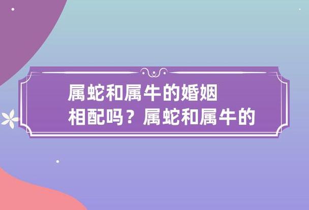 属蛇的女跟属牛男人配对吗 属牛蛇相婚配最佳配对是什么意思？