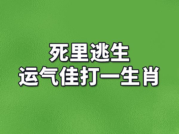 死而复活是什么生肖 12生肖每日运势天天看是什么意思？